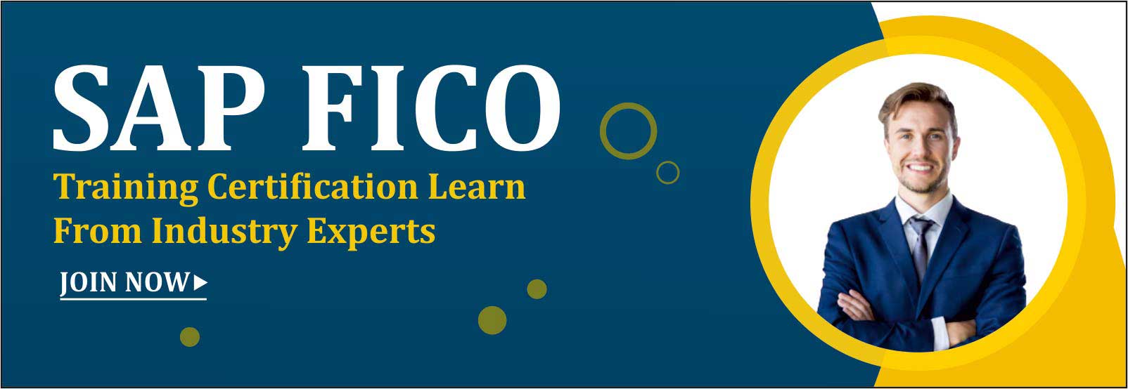 Best Sap training Institute Near Me